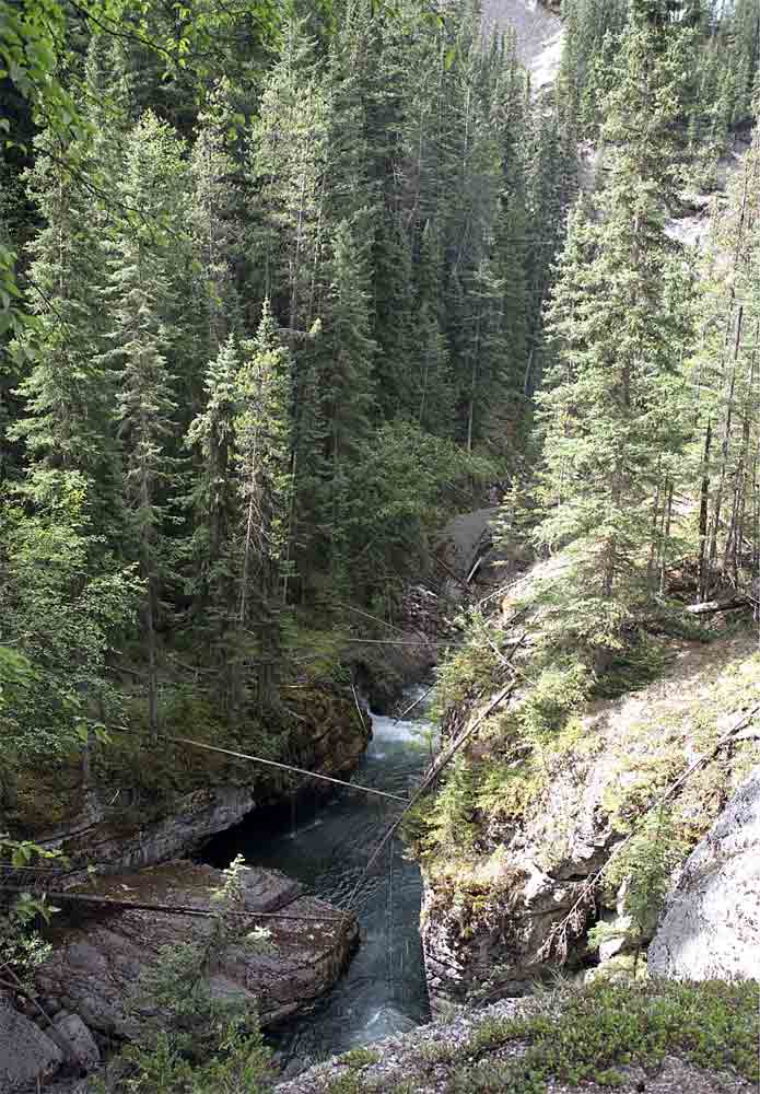 77 - Canada - parque nacional de Jasper, canyon Maligne